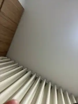 Nhefertary