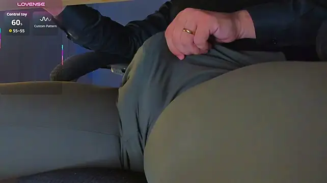 BulgeArt webcam