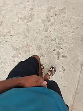 telugu_bull_hyd28