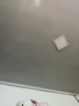 KittyRous
