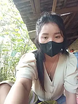 Td3di