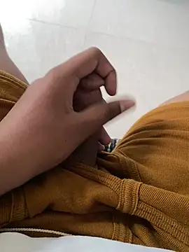 sensag