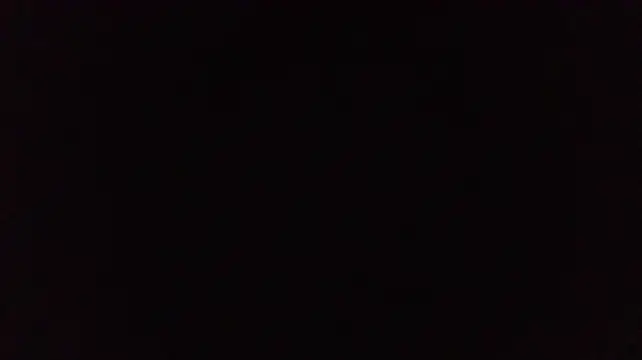 thicky_dicky_n