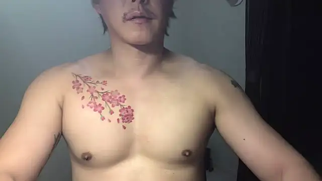jin-sakura webcam
