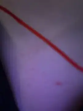 SlavicCandy webcam