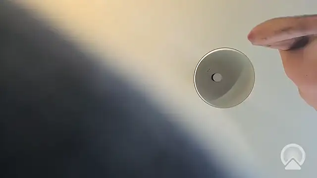 Aulonocara86