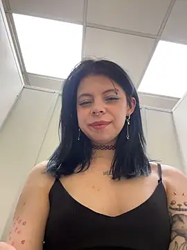 LishuMeow