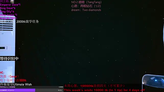 CCTW-100
