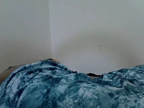 Swt_vixen