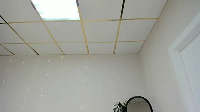 SuzieNox