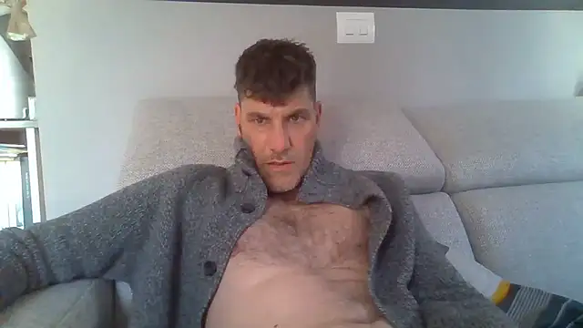 Markbull