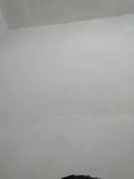daxxxxxxx193737 webcam