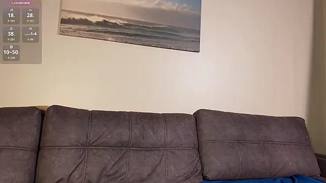 FireBeard_ webcam