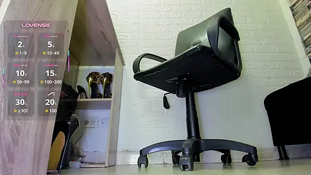 dhevora webcam