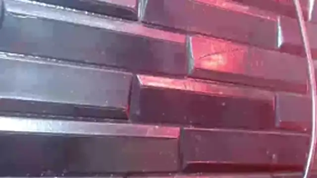 Arabella_Fraser18