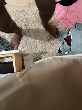 dingoding