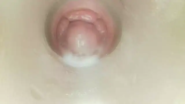 karol_stom
