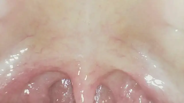 karol_stom