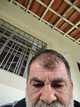 Peludo173317 webcam