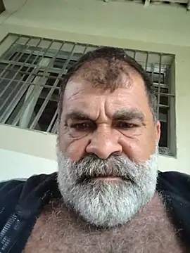 Peludo173317