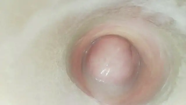 karol_stom