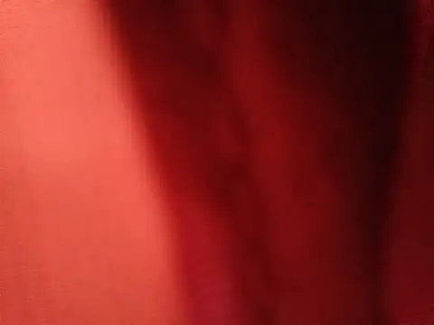 Alejandra_N