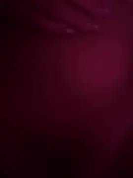 Jack_dogy