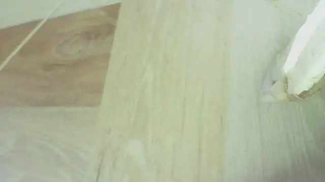 karol_stom
