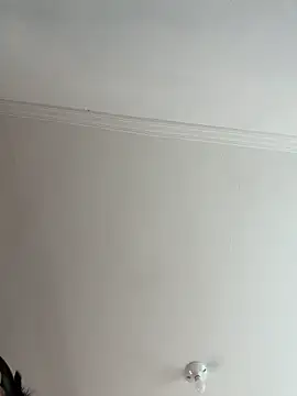 charlotte_stevenss_