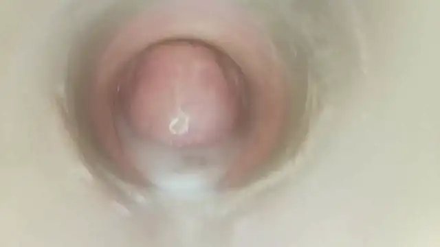 karol_stom