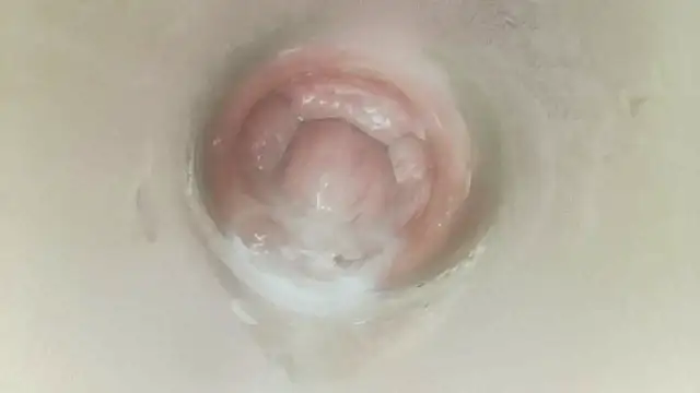 karol_stom