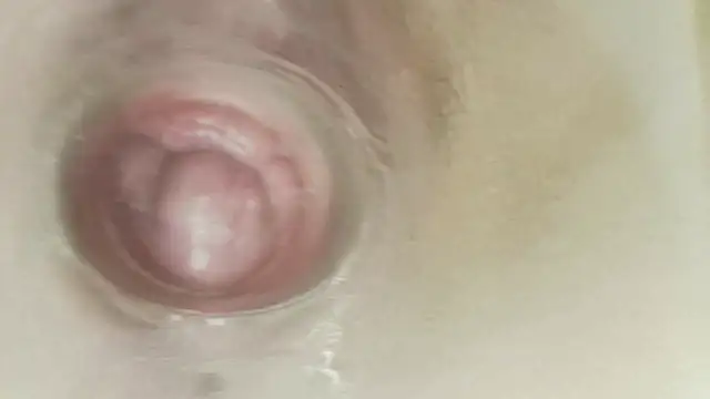 karol_stom