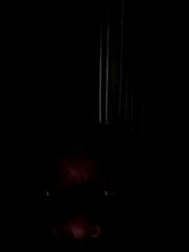 352bigboy webcam