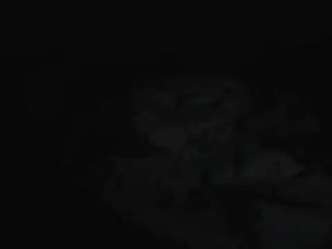 bootyebonie webcam