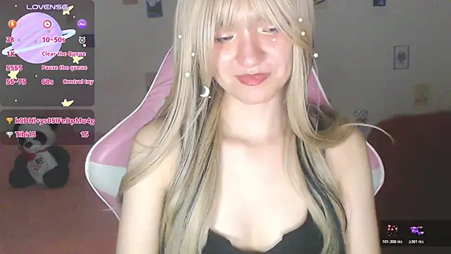 SkylerZone webcam