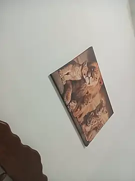 Fannyfoxfi live sex cam