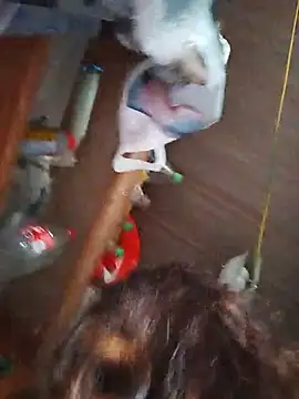 Morenalup