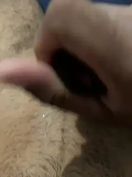 profetabr26 live cam on StripChat