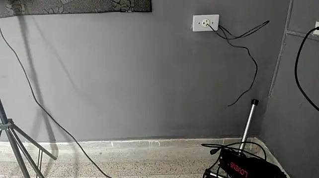 LorenaAndJackson webcam