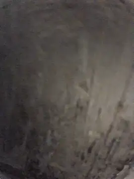 Horsecock7inch