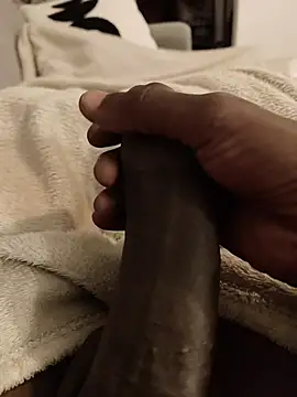 Blo95