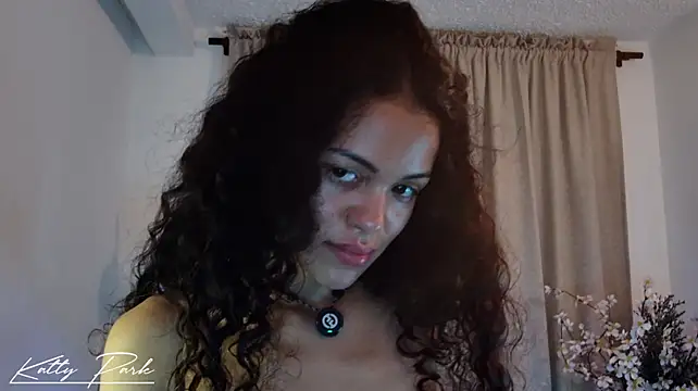 kattypark webcam