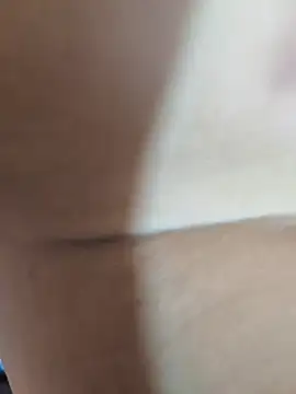 FansBRISA