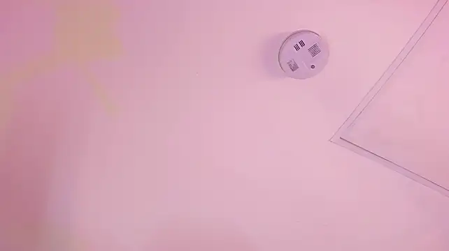 megan_woll