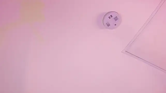 megan_woll