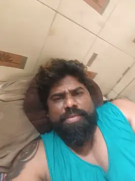 bigdog_ds