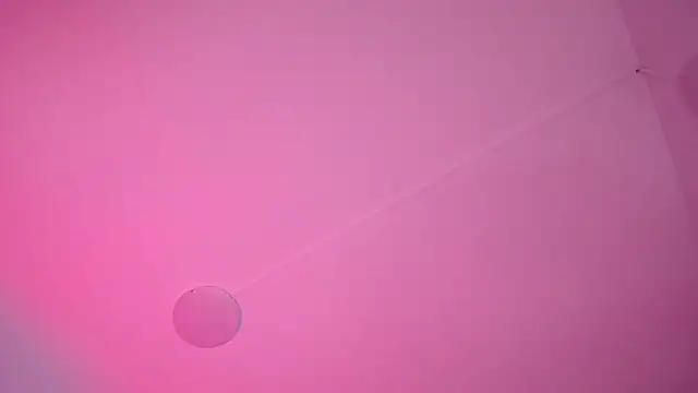 salomecastro_