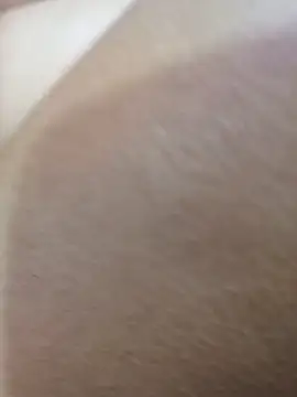 FansBRISA