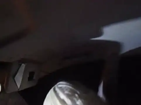 dustbunny64 live sex cam