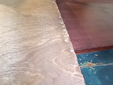 Tina_Mirabella